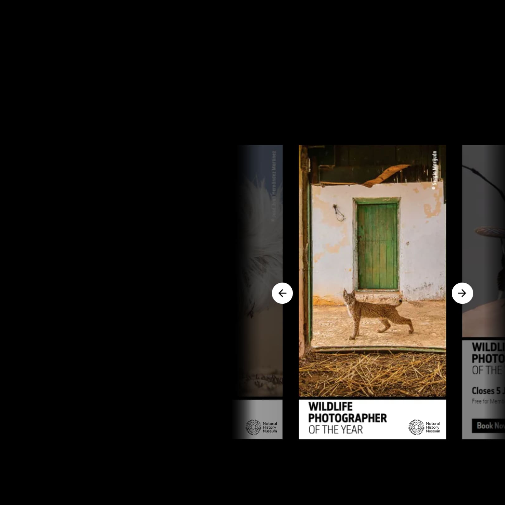 Ad preview tool.