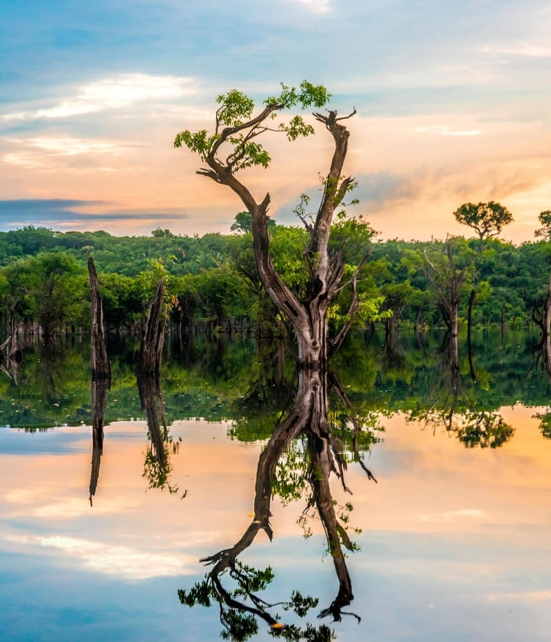 Diverse sustainability initiatives.