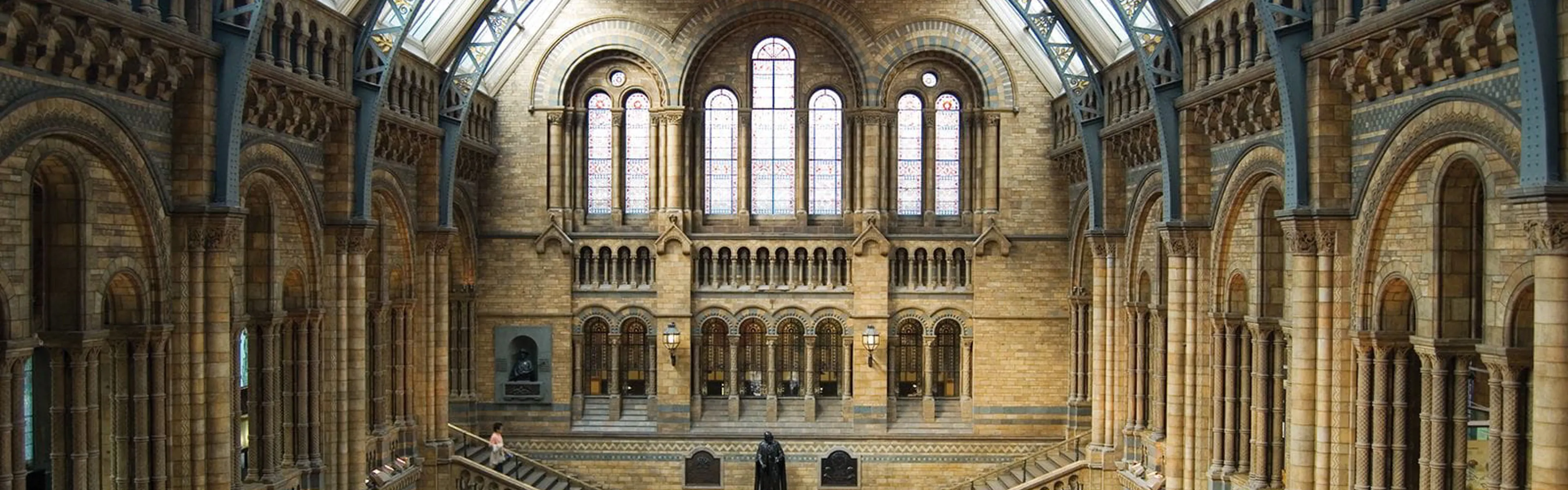 Natural History Museum empty hall with whale skeleton hanging from ceiling.