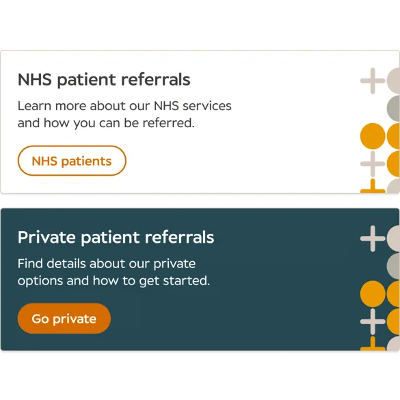 A screenshot of the Newmedica website showing clear buttons for users to click on key information
