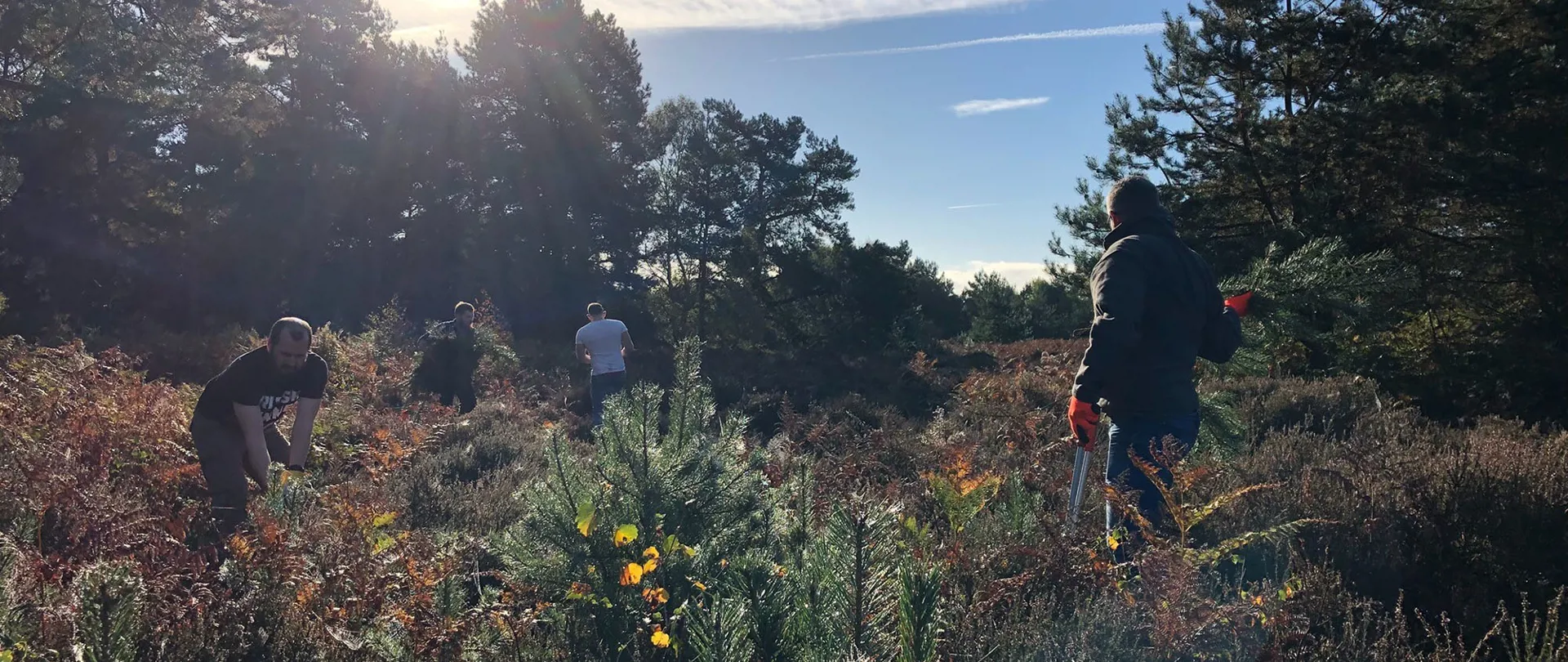 Crafted team helping on a green team charity day in shrubland with Suffolk Wildlife Trust