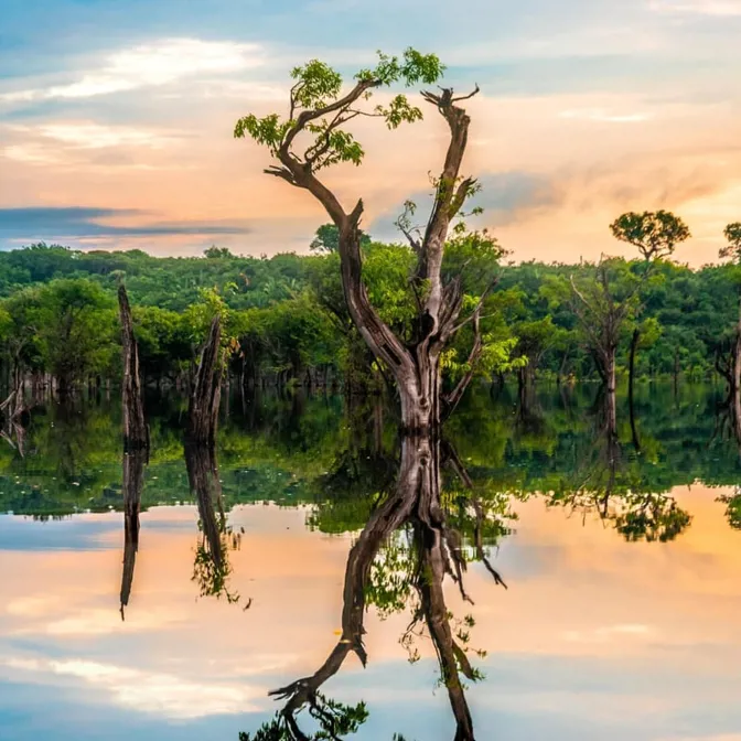 Diverse sustainability initiatives.