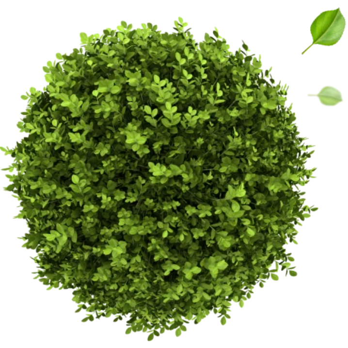 A circular image of trees.